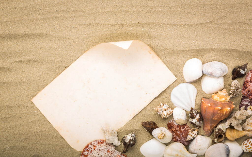 Sea shells on beach sand with old paper. Summer background